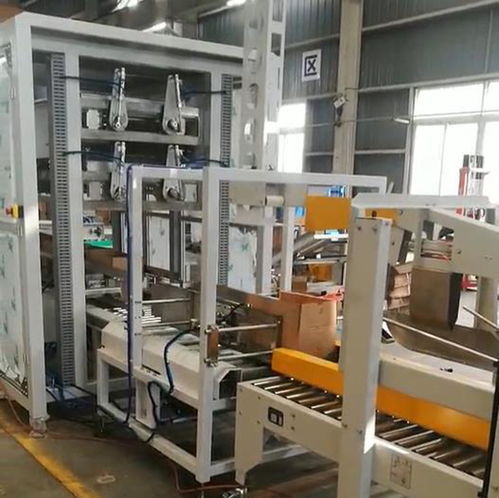 ZYL-ZX05自動食用油裝箱機 高效、可靠的跌落式裝箱自動化解決方案