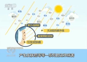 廢家電的歸途 一場綠色轉型的戰(zhàn)役